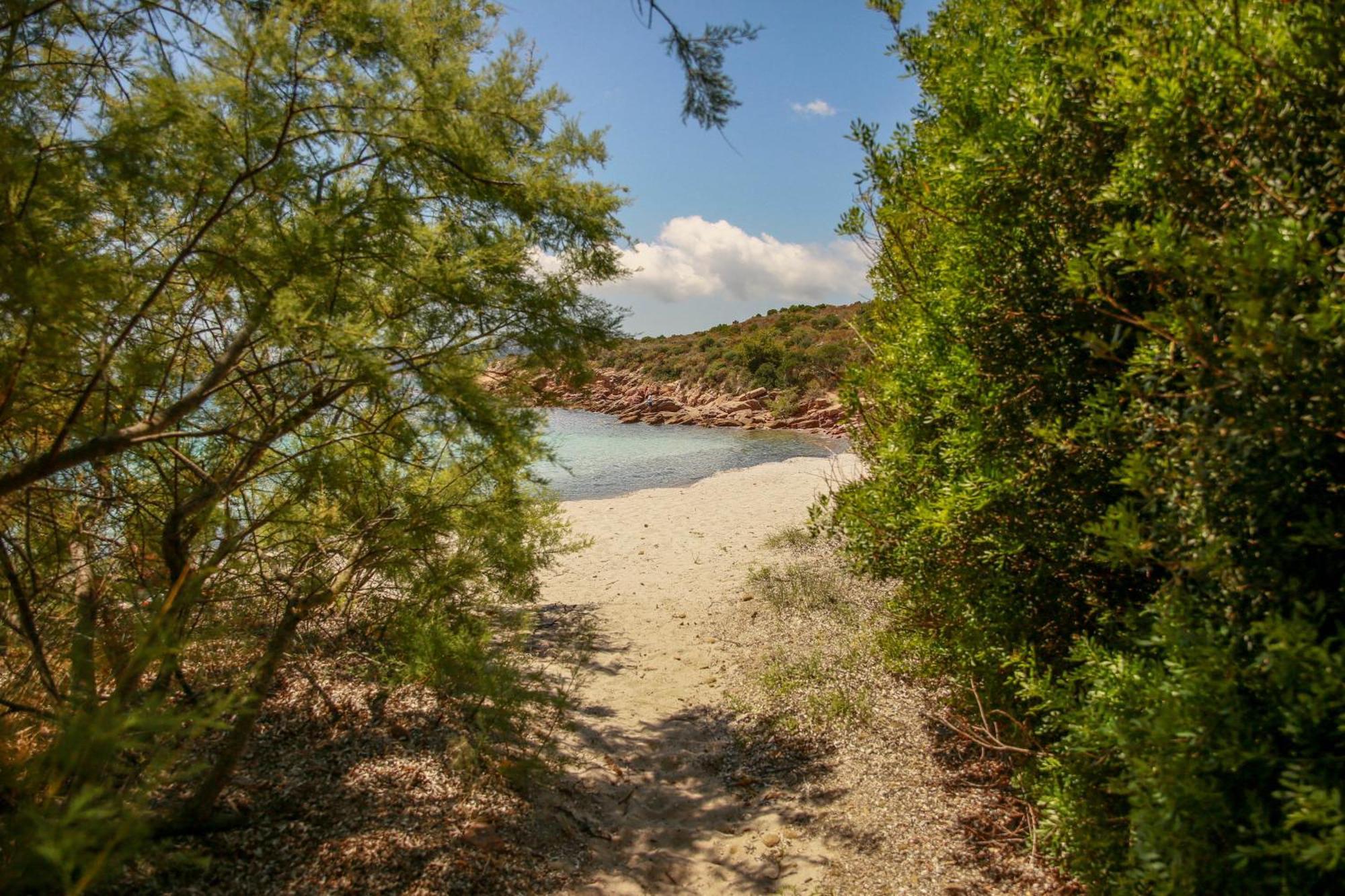 Le Berceau D'Asciaghju Palombaggia - Acces Plage Et Piscine Privee Porto-Vecchio  Exterior photo